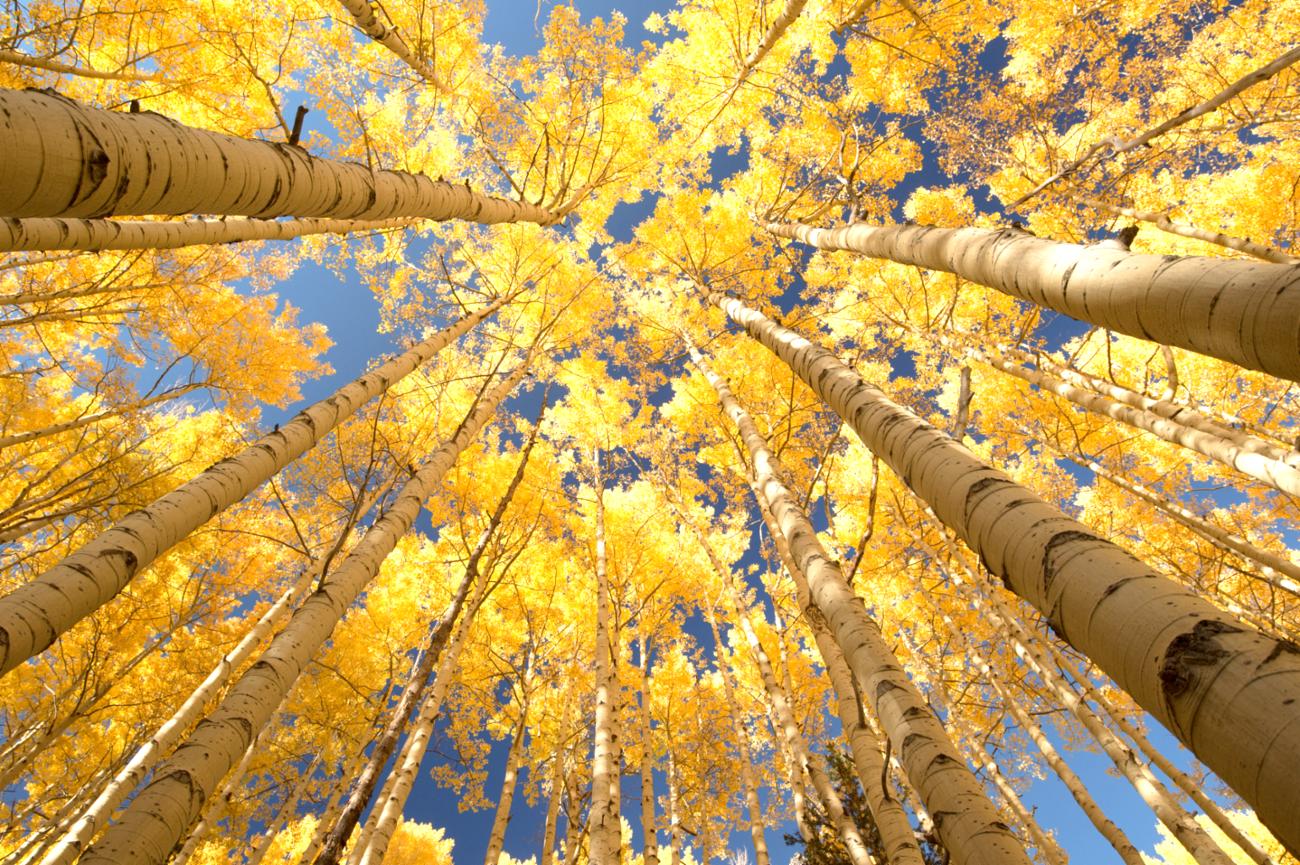 Park City Fall Activities: 2025 Events, Leaf-Peeping & Where to Stay