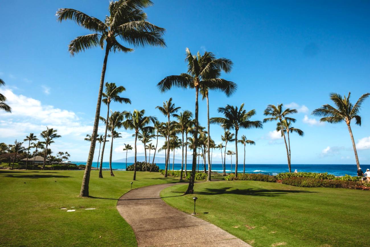 Spring Into Savings: 20% Off your next Vacation!